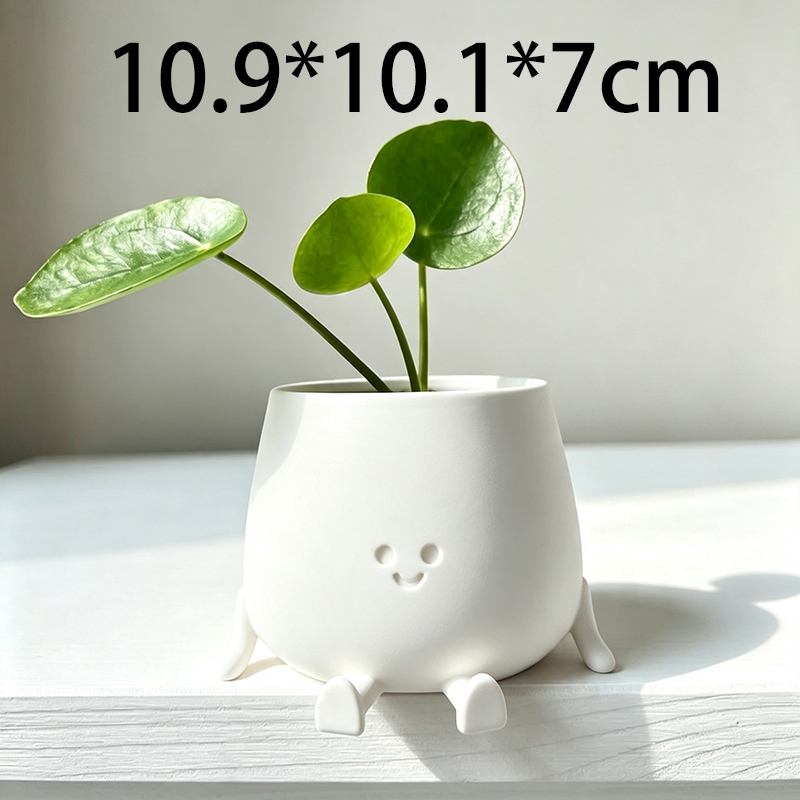 Pot de plante en forme de visa - Echeveria Succulent avis et prix