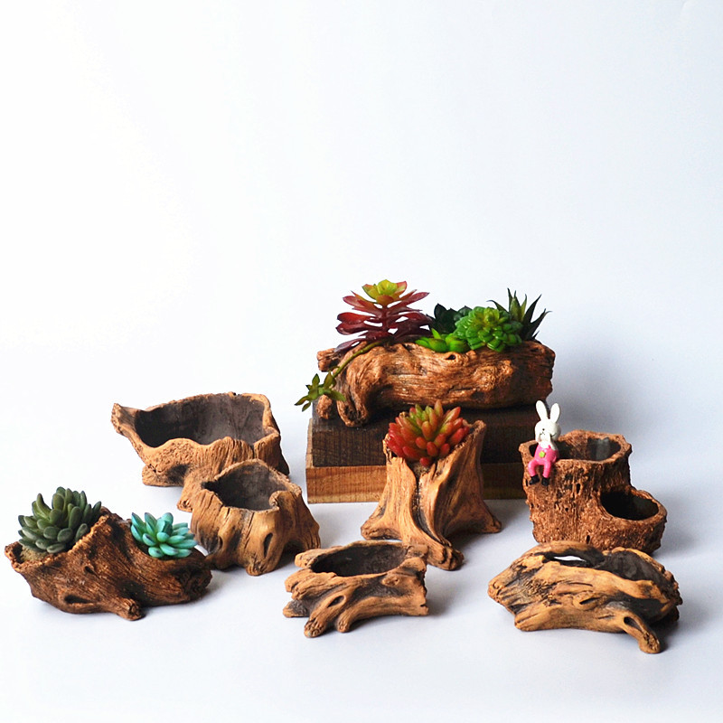 Piquets en bois d'imitation, r - Echeveria Succulent avis et prix